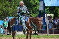 Knight Jousting at Renaissance Festival Royalty Free Stock Photo