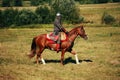 The knight. Medieval armored equestrian soldier with lance. Rider on horse is in the field