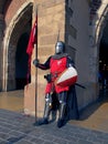 Knight Polish Krakow.