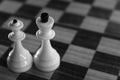 Knight and queen chess figures on chessboard monochrome, black and white. Competition and strategy concept. Royalty Free Stock Photo