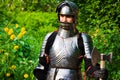 Knight in shining armor Royalty Free Stock Photo