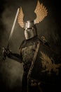 Knight with sword Royalty Free Stock Photo