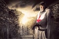 Knight Templar Royalty Free Stock Photo