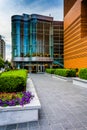 The Knight Theater and a courtyard in downtown Charlotte, North