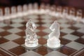 Knights on chessboard Royalty Free Stock Photo