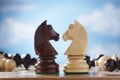 Knights On A Chessboard Royalty Free Stock Photo