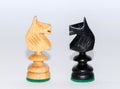 Knights face to face. Wooden chess pieces. Royalty Free Stock Photo
