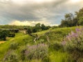 Fairy Sky and Meadows View