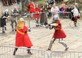 Knights fight Royalty Free Stock Photo