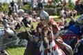 Knights fighting on horseback