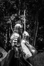 knights in full armor with shields and swords in their hands. Black and white photo