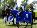 Knights jousting, Wenecja castle, Poland Royalty Free Stock Photo