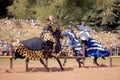 Knights Jousting Royalty Free Stock Photo