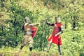 Knights tilting Royalty Free Stock Photo