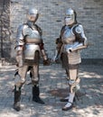 Knights Royalty Free Stock Photo