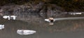 Knik Glacier Lake