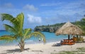 Knip Beach Tourists Royalty Free Stock Photo