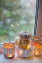 Knit handmade pumpkins stained glass candle Royalty Free Stock Photo