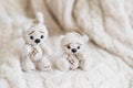 Knitted beige bear and hare sits on a plaid