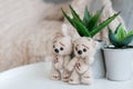 A knitted beige bunny and bear stands next to indoor plants.