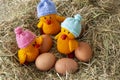 Knitted chicken chicks toy with hats on and eggs.  With meadow hay straw grass Royalty Free Stock Photo