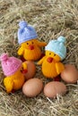 Knitted chicken chicks toy with hats on and eggs.  With meadow hay straw grass Royalty Free Stock Photo