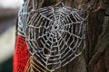 Knitted cobweb of colored threads on a tree trunk, close-up