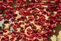 Knitted and crocheted poppies cascading down the council chambers for ANZAC Day, Narrandera, Australia Royalty Free Stock Photo