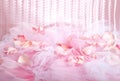 Knitted fabric and rose petals Royalty Free Stock Photo