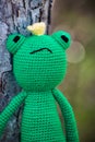 Knitted frog. Handmade toy - green frog for baby. Green Knitted Frog Traveler. Frog princess