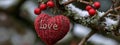 Knitted Heart Ornament on Snowy Branch Royalty Free Stock Photo