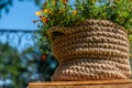 Knitted jute rope basket with small yellow flowers stays on the wooden plate on blue sky background