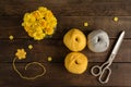 Knitted kids wear of yellow color on a dark wooden background