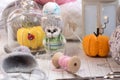a knitted kitten with knitting needles and orange pumpkins, Royalty Free Stock Photo