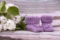 Knitted lilac baby booties on rural background