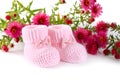 Knitted pink booties for a newborn Royalty Free Stock Photo