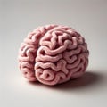 Knitted plush toy in the shape of a human brain of soft shade of pink including the cerebral cortex with gyri and sulci