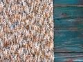 Knitted product carpet plaid close up of fiber of thread texture wool wooden background board floor brown green Royalty Free Stock Photo