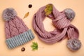 Scarf, hat with chestnuts and leafs Royalty Free Stock Photo