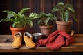 knitted slippers beside a potted rubber plant on a rustic wood table