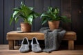 knitted slippers beside a potted rubber plant on a rustic wood table