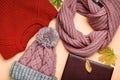 Sweater with scarf, hat and autumn leafs Royalty Free Stock Photo