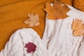 Knitted sweaters and dry leaves close-up Royalty Free Stock Photo
