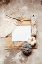 Knitted woolen white pumpkin template background flat lay top view copy space
