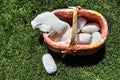 Knitting basket, knitting needles and white yarn for knitting, against the background of green grass