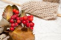 Knitting beige and red berries