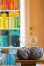 Knitting Equipment and Bookshelf Royalty Free Stock Photo