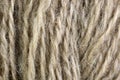 Raw white wool thread ball macro closeup Royalty Free Stock Photo