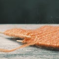 Knitting orange colorful melange mohair scarf and knitting needles on the old wooden rustic background. The beginning of comfort k