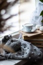 knitting on the window of a cup of coffee book hobby handmade Royalty Free Stock Photo